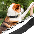 Tactical Dog Collar Military Adjustable Dog Collars Soft Nylon Training Collar - Image 5