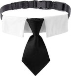 ADOGGYGO Adjustable Dog Neck Tie Collar Pet Collar by ADOGGYGO