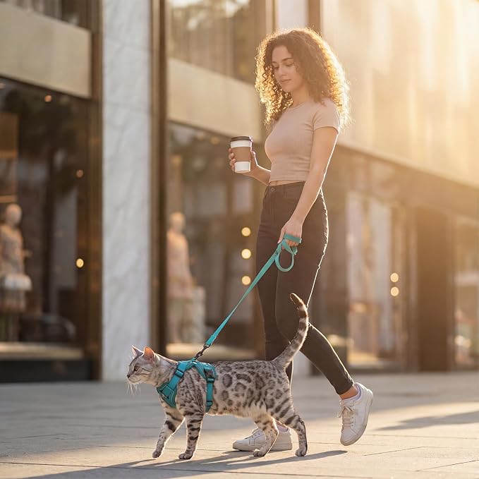 Cat Harness and Leash Set Escape Proof Tactical Medium Kitten Harness Emotional - Image 9
