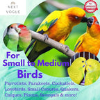 Natural Wood Parrot Toys Set of 6 Pieces - Image 9