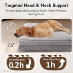 Orthopedic Dog Bed for Extra Large Dogs - Image 3