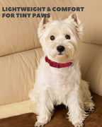 Dynmeow Soft and Breathable Cotton Dog Collar, Durable Adjustable Pet Collar - Image 6