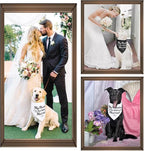 SZEE 2 Pack My Humans are Getting Married Dog Bandanas, Wedding or Engagement - Image 8