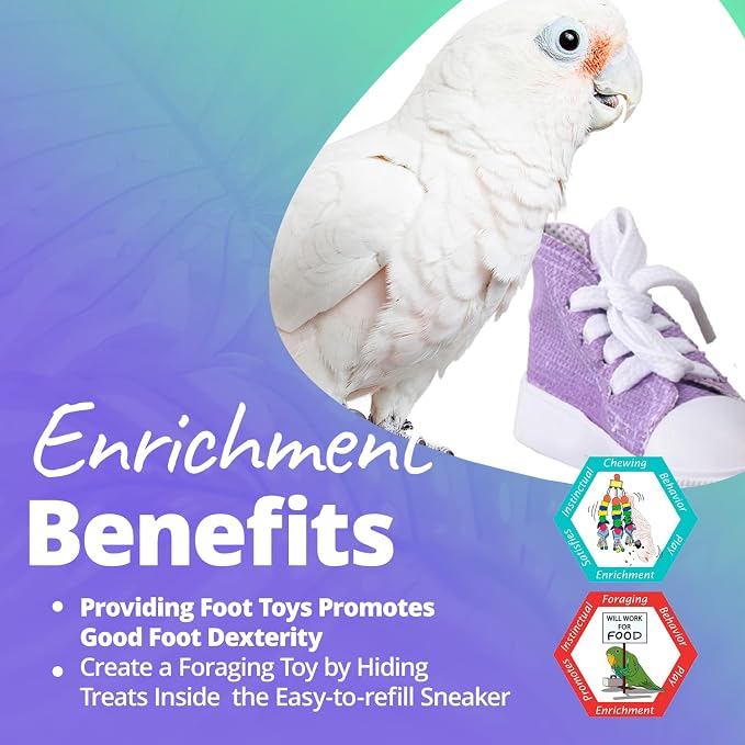 Super Bird Creations SB50011 Sneaker Bird Toy - Image 5