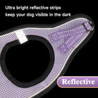 YIMEIS Dog Harness and Leash Set, No Pull Soft Mesh Pet Harness, Reflective - Image 6