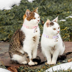 ARING PET 2 Pack Cat Collar-Cute Cotton Cat Collar - Image 4