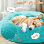 JOLLYVOGUE Calming Small Dog & Cat Bed - Image 2