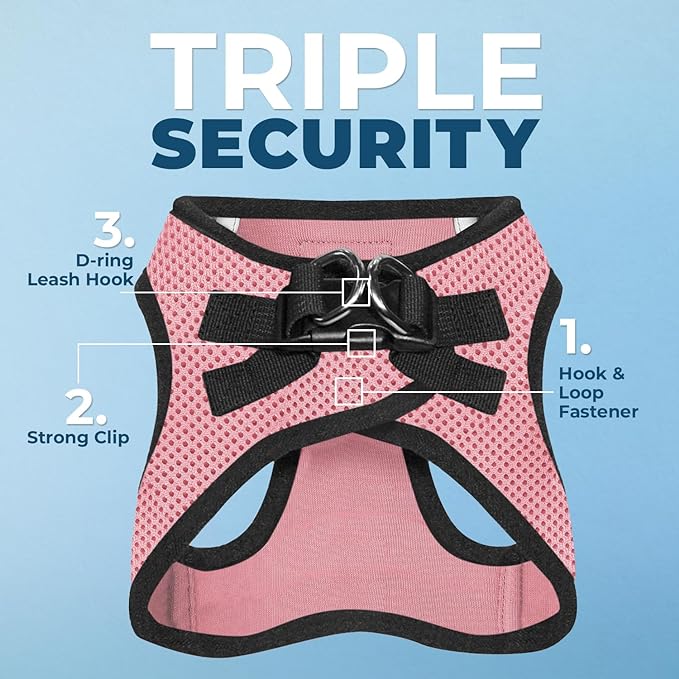 Best Pet Supplies - Image 7