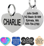 GoTags Stainless Steel Pet ID Tags, Personalized Dog Tags and Cat Tags by GoTags