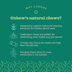 Oxbow Enriched Life Natural Dangly Party Pack, Rabbit Toys, Guinea Pig Toys - Image 4