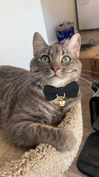Cotton Breakaway Cat Collar - Image 5