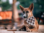 Lionet Paws Dog Bandana Washable Cotton Handkerchief Scarf Triangle Bandana - Image 6