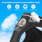 Hipubby Dog Harness and Leash Set, No Pull Soft Mesh Puppy Harness - Image 4