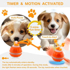 Interactive Dog Toys，Peppy Pet Ball - Image 7