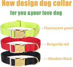 Nylon Dog Collar - Image 6