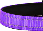 Reflective Dog Collar, Adjustable Soft Neoprene Padded Nylon Pet Collars - Image 5