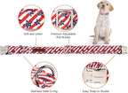 Unique style paws Independence Day Dog Collar Metal Buckle Striped Star Collar - Image 2