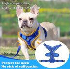 Escape Proof Kitten Harness and Leash Set - Image 4