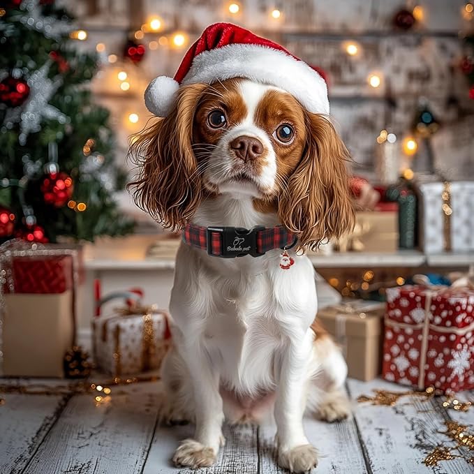 Christmas Dog Collar for Small Dogs - Image 6