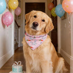 PAWCHIE Easter Dog Bandanas 4 Pack, Reversible Dog Party Triangle Scarf Bibs - Image 2