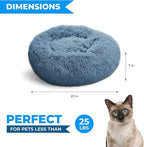Whiskers & Friends Cat Bed, Cat Beds - Image 2