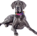 Reflective Dog Collar for Large Dogs, Cute Leopard Style Adjustable Heavy-Duty - Image 2