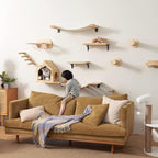 FUKUMARU Cat Wall Furniture Set, Transparent Capsule Kitten Walls Shelves - Image 8
