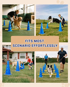 Dog Agility Course Backyard Set, Dog Agility Hurdle Cone Set - Image 7