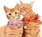 2 Pack Halloween Breakaway Cat Collar - Image 6