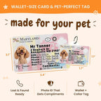 PawFurEver Personalized Dog Driver License ID Tag - Image 3