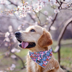 ARING PET Floral Dog Bandanas - Image 3