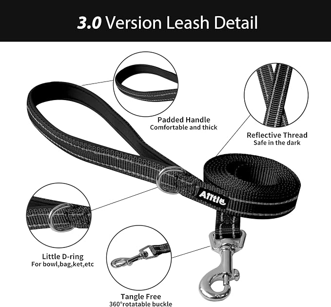 AIITLE Step in Dog Harness and Leash Set - Image 6