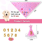 Dog Birthday Bandana Set, Dog Birthday Party Supplies, Puppy Boy Girl Birthday - Image 2