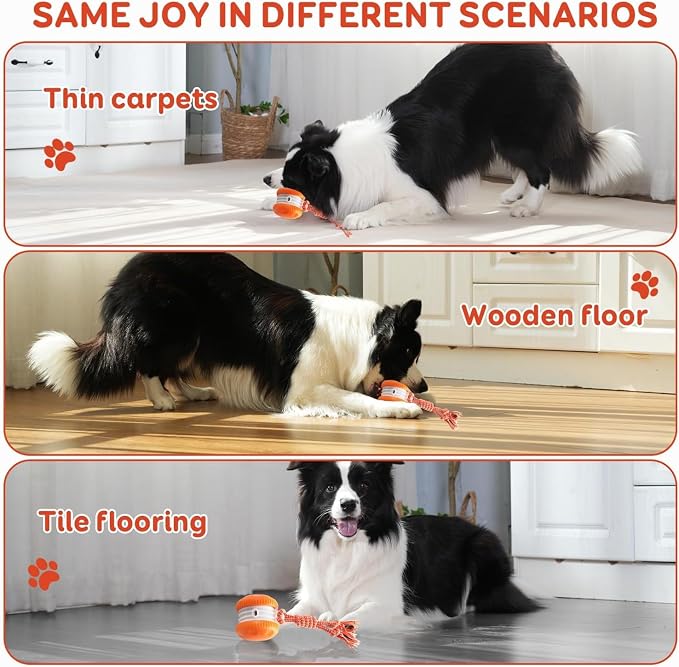 Interactive Dog Toys, Random Path Electric Automatic Moving and Rolling Dogs Toy - Image 6