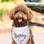 Dog Birthday Girl Happy Birthday Dog Bandana - Image 3