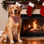 Christmas Plaid Dog Collar - Image 5