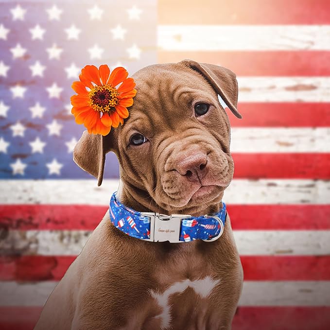 Unique style paws Independence Day Dog Collar Metal Buckle Ice Flag Collar Gift - Image 4