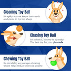 Meric CoCoo 3-Pack Squeaky Dog & Ferret Ball Toys, Massage Teeth and Gums - Image 4