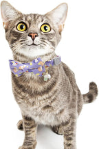 Faygarsle 2 Pack Cute Breakaway Cat Collar - Image 7
