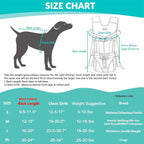 Lukovee Dog Backpack Carrier, Legs Out Easy-fit Dog Front Carrier - Image 2