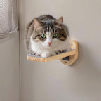 ESPETS Set of 3 Natural Wood Cat Wall Steps Floating Ladder Stairs- Wall - Image 6