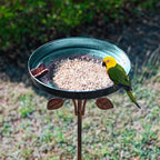 DREAMSOUL 38 Inch Bird Bath - Image 4