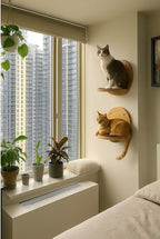 Cat Wall Shelves - Image 7