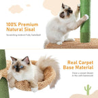 PAWZ Road Cat Tree, Cactus Floor to Ceiling Cat Tower - Image 4