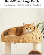 Wood Cat Tree for Large Cats, Modern Cat Tree Tower - Image 3