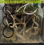 Snake Enrichment Toys Ball, Jungle Gym Ball and Enrichment Rings - Image 4
