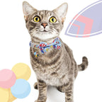 Faygarsle 2 Pack Cute Cat Collar - Image 7