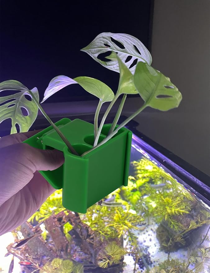 4 Pk Upgraded Aquarium Plant Holder, 3-Hole Hanging Plant Holder - Image 6