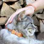 Pettsie Breakaway Cat Collar - Image 2