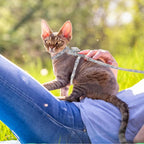 TIESOME Cat Harness and Leash Set, Adjustable Gradient Kitten Harness Escape - Image 6